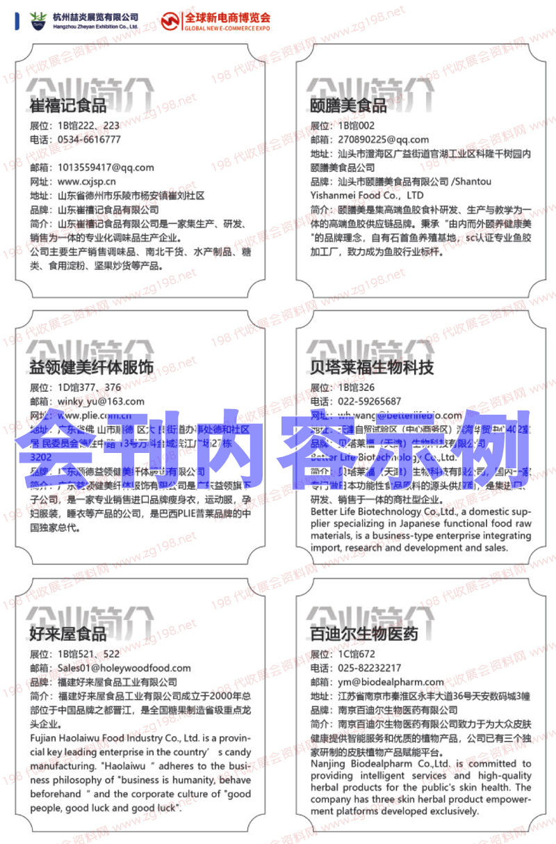 2023第十二届(杭州)全球新电商博览会展会会刊